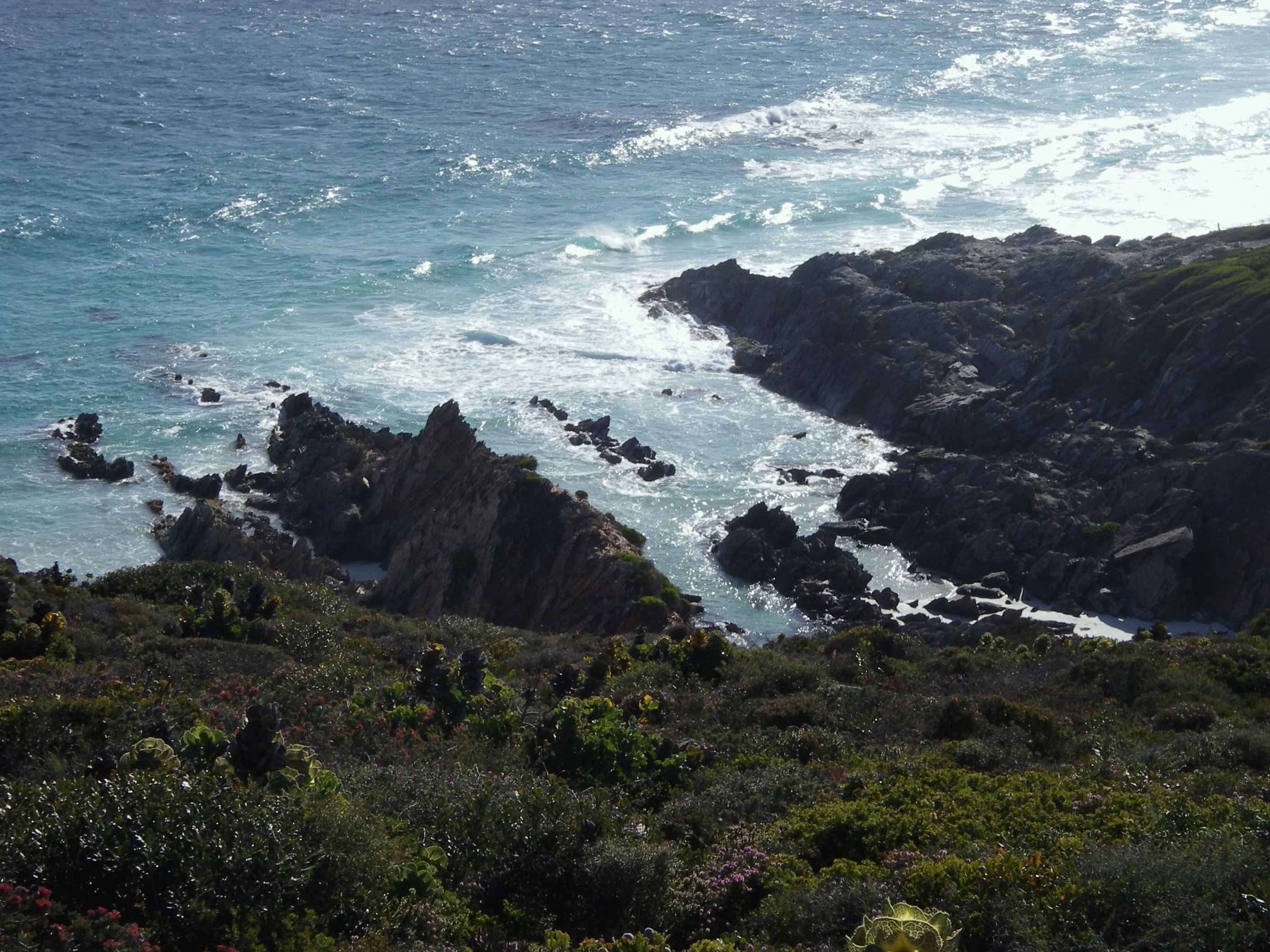 the rocky shoreline from a distance away