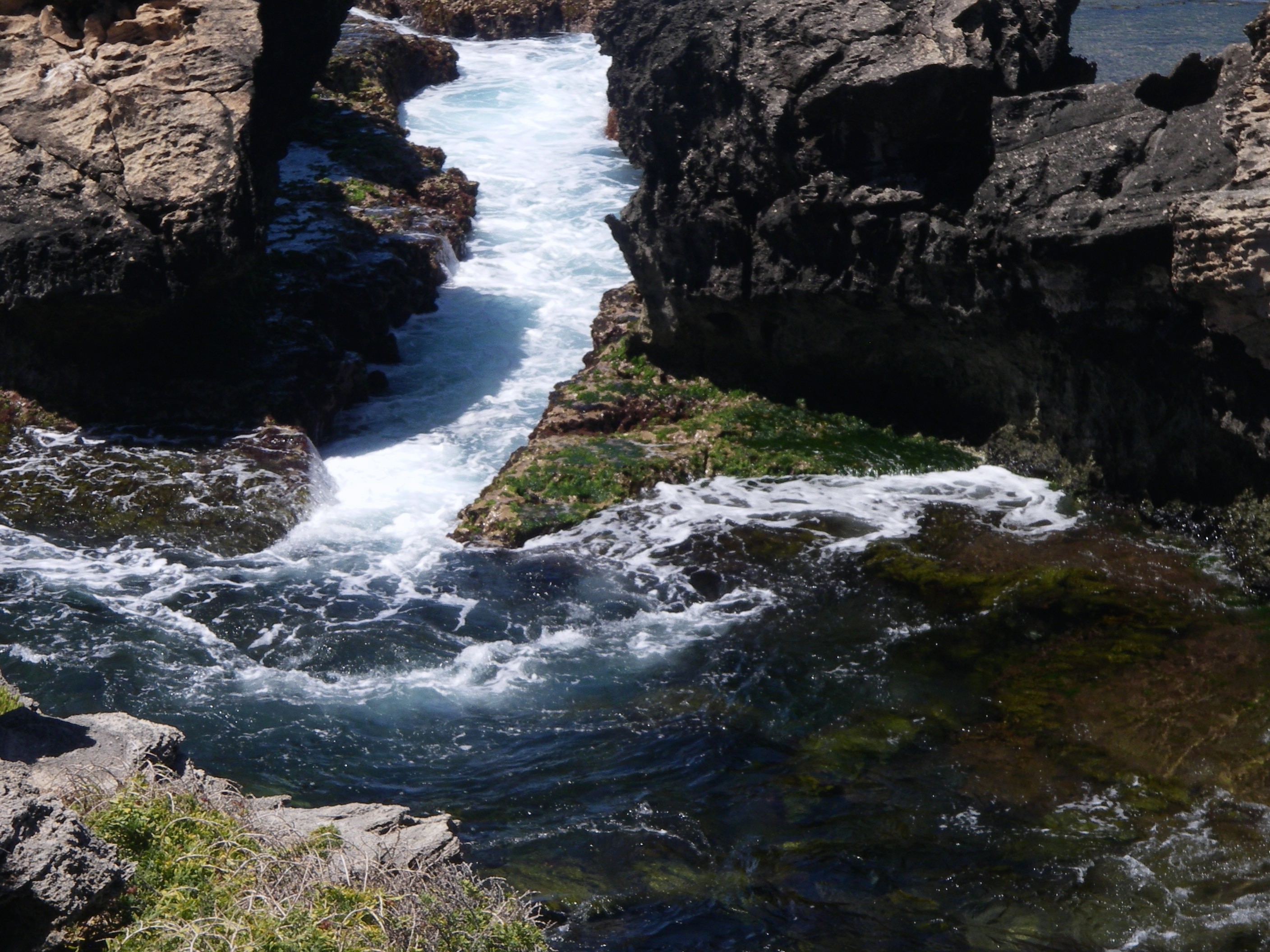 a rock pool